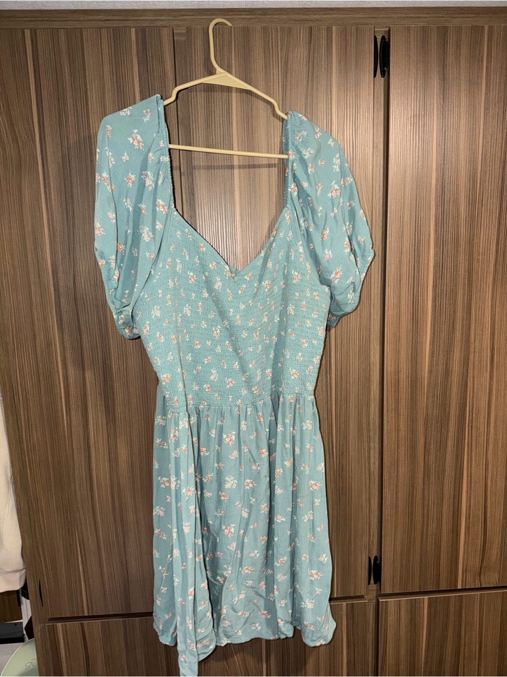 American Eagle Outfitters Light Blue Floral Puff-Sleeve Mini Dress
